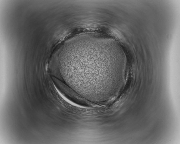 X0000086971298200704301249