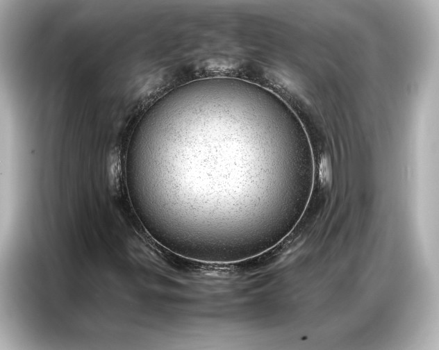 X0000086971299200704301249