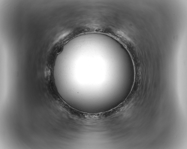 X0000086971302200704301249