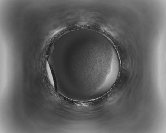 X0000086971303200704301249