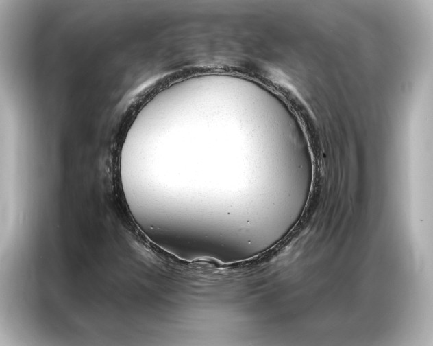 X0000086971304200704301249