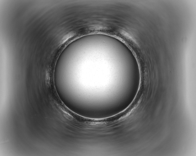 X0000086971305200704301249