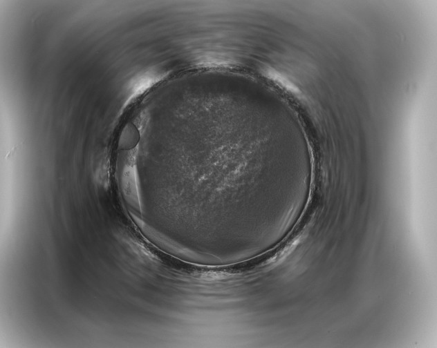 X0000086971306200704301249