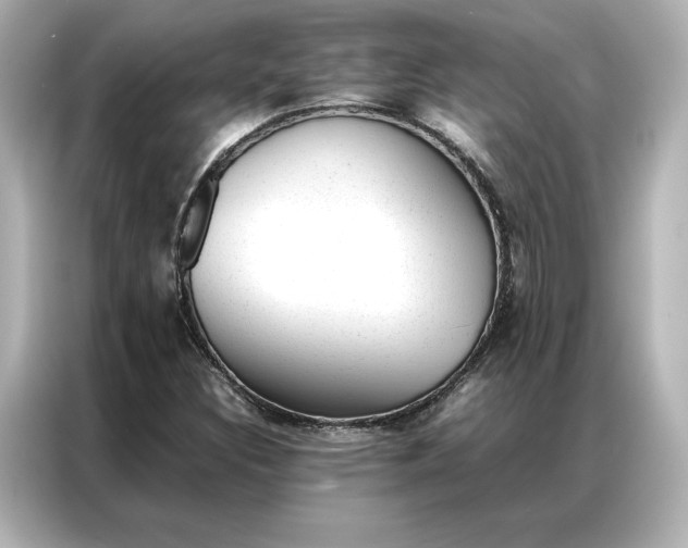 X0000086971308200704301249