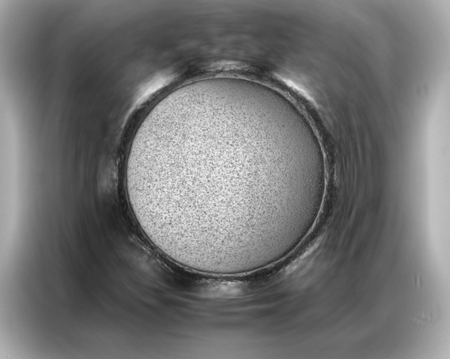 X0000086971309200704301249