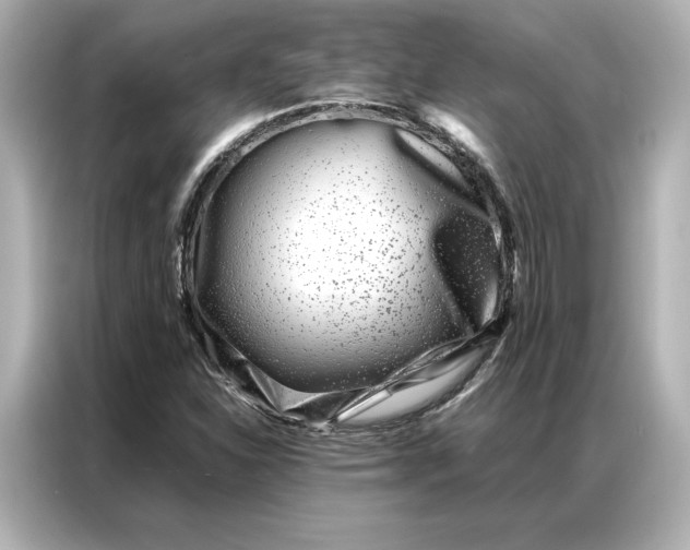 X0000086971310200704301249