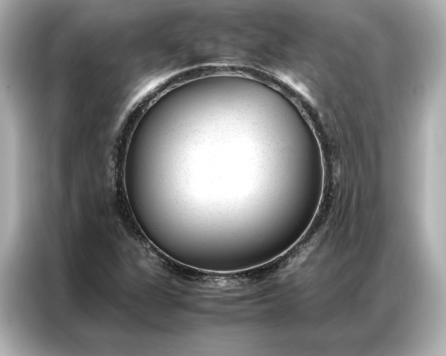 X0000086971311200704301249