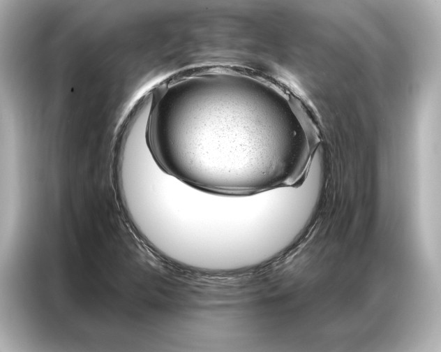 X0000086971312200704301249