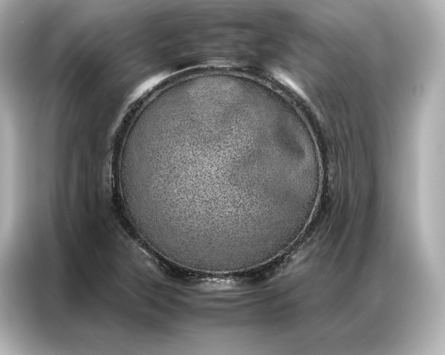 X0000086971315200704301250