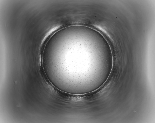 X0000086971317200704301250