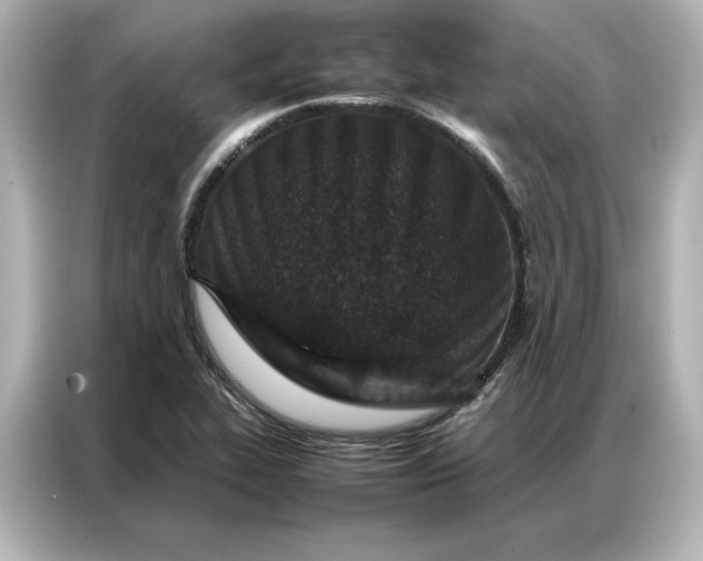 X0000086971319200704301250