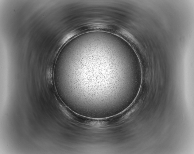 X0000086971321200704301250