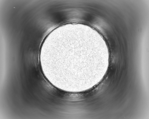 X0000086971322200704301250