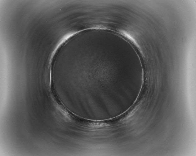 X0000086971323200704301250