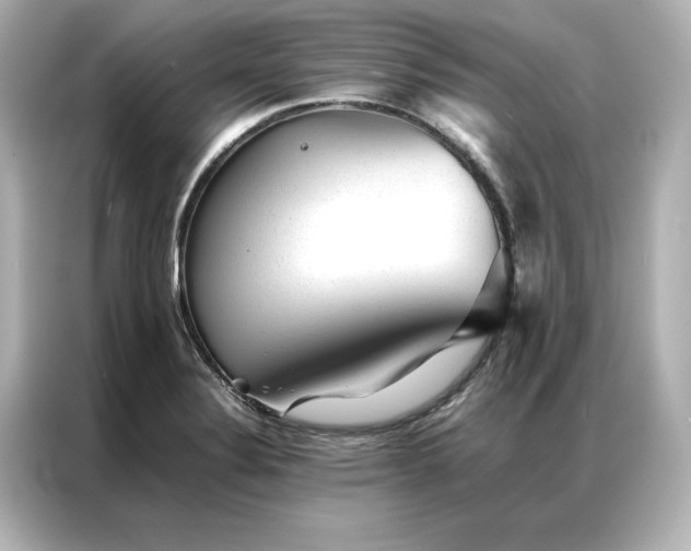 X0000086971324200704301250