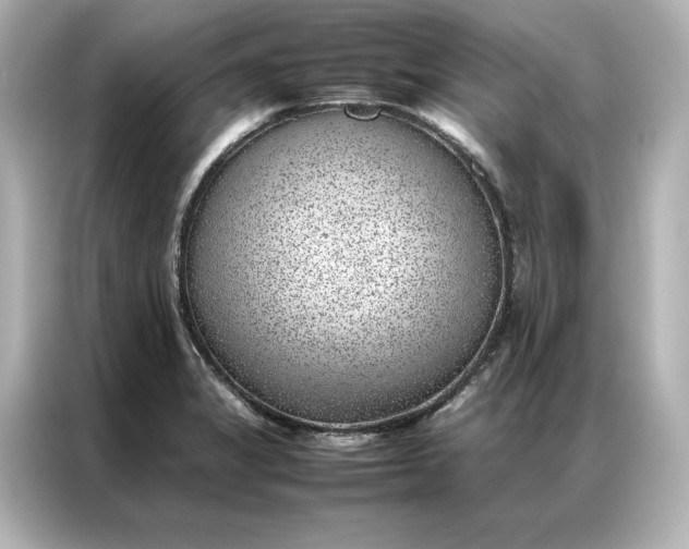 X0000086971325200704301250