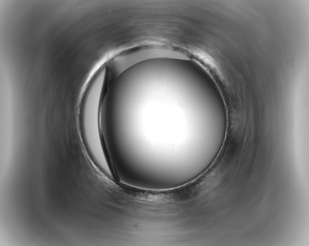 X0000086971326200704301250