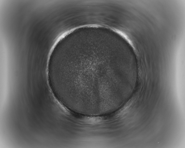 X0000086971327200704301250