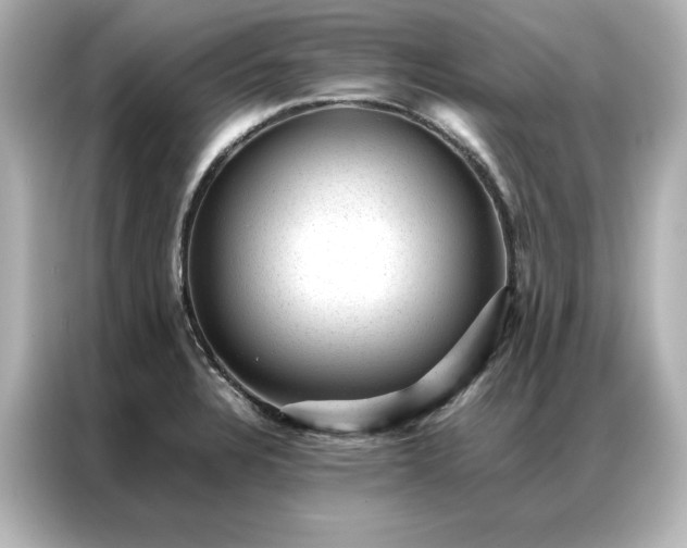 X0000086971328200704301250