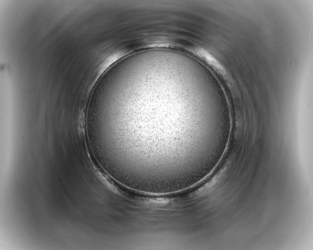 X0000086971329200704301250