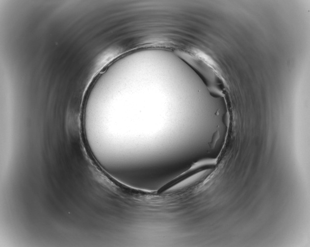 X0000086971330200704301250