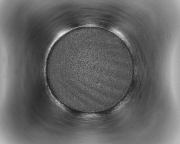 X0000086971331200704301250