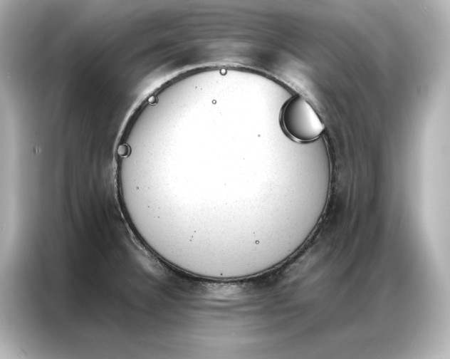 X0000086971332200704301250