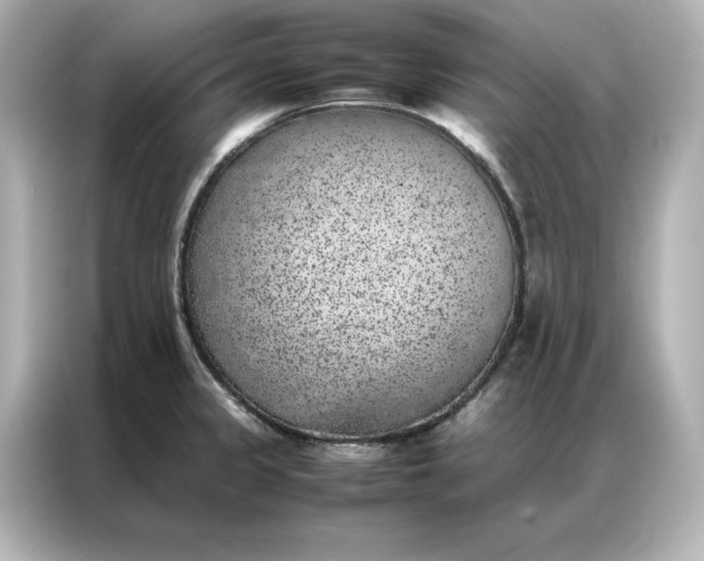 X0000086971333200704301250