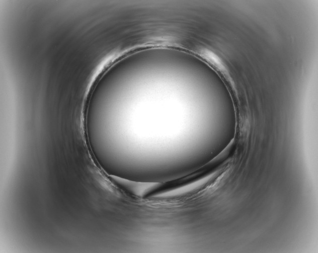 X0000086971336200704301250