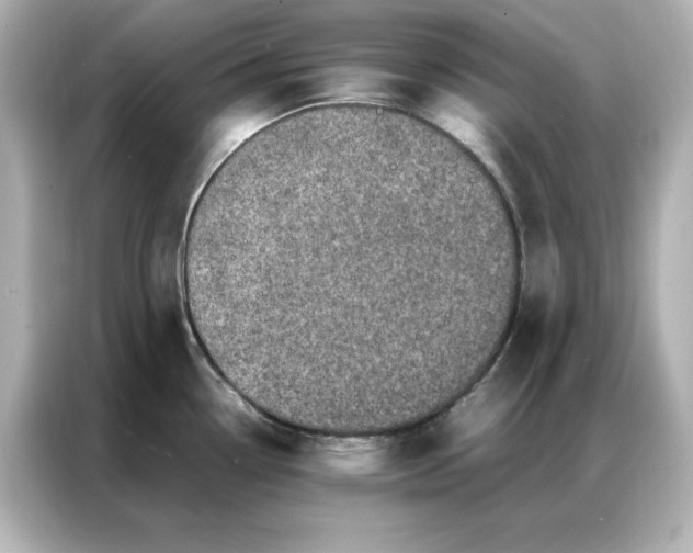 X0000086971338200704301250