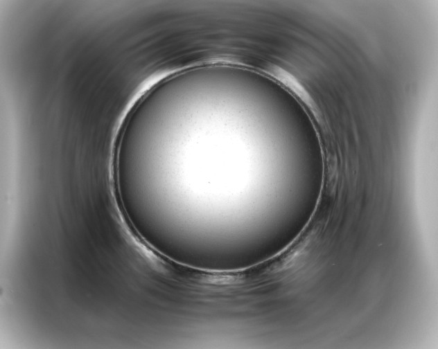 X0000086971339200704301250