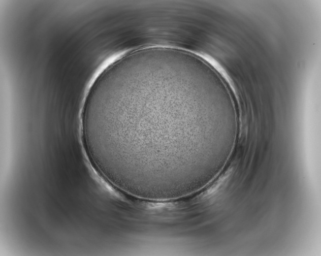 X0000086971341200704301250