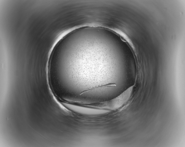 X0000086971343200704301250