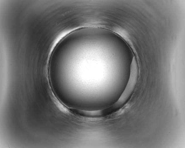 X0000086971344200704301250