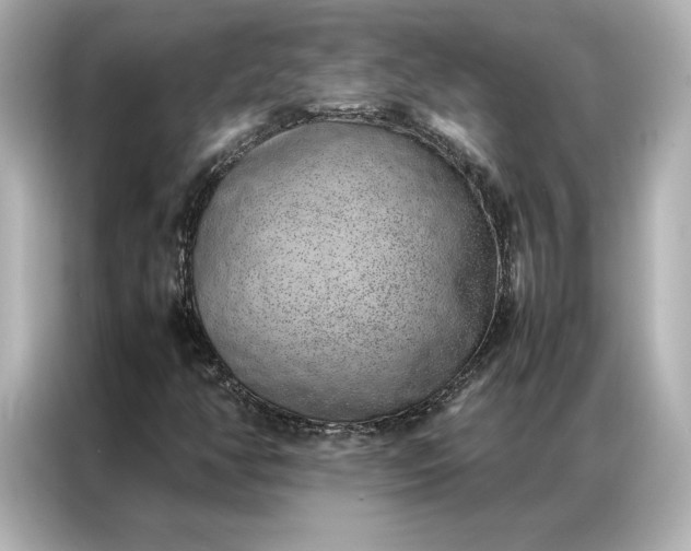 X0000086971350200704301249