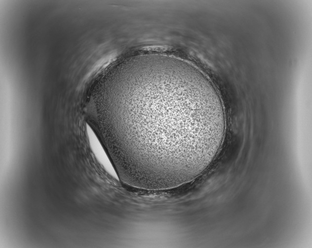 X0000086971351200704301249