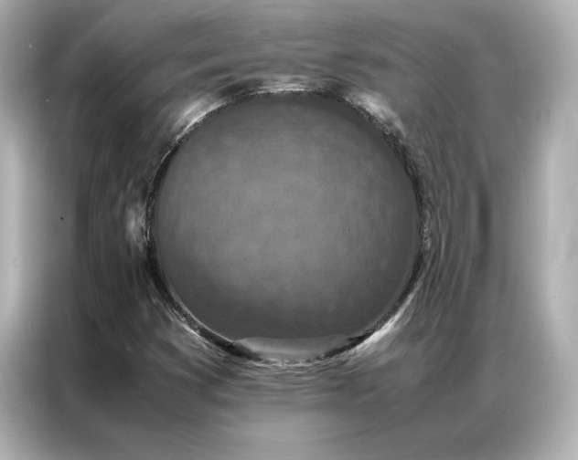 X0000086971353200704301249