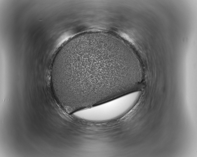 X0000086971355200704301249