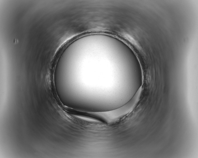 X0000086971356200704301249