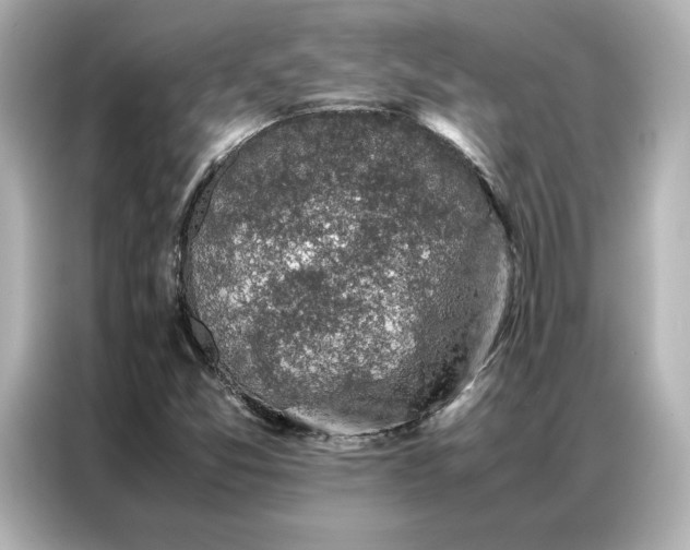 X0000086971357200704301249