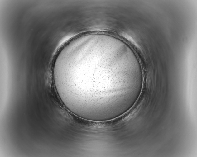 X0000086971358200704301249