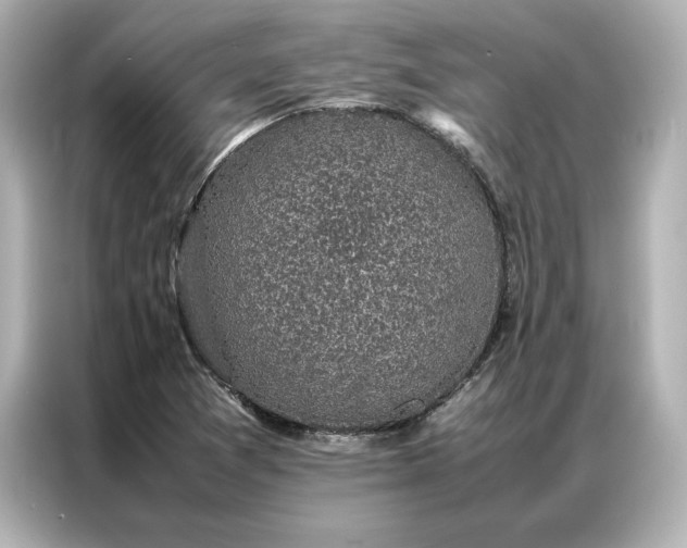 X0000086971361200704301249