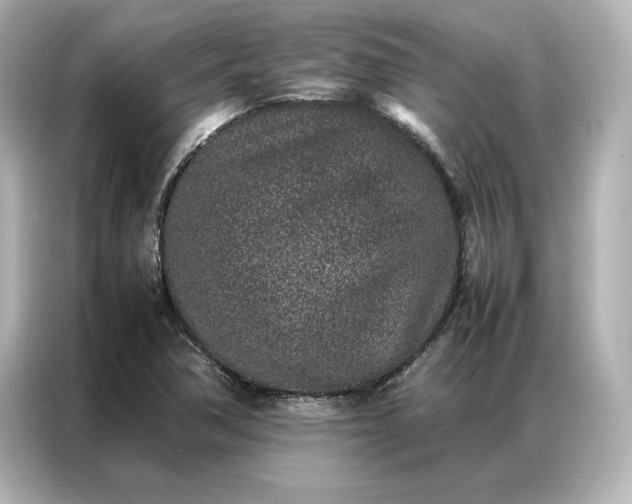 X0000086971362200704301249