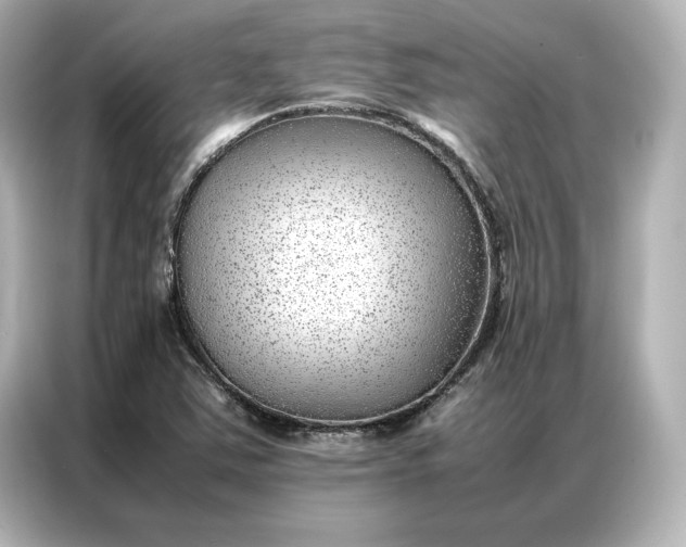 X0000086971363200704301249