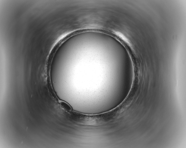 X0000086971364200704301249