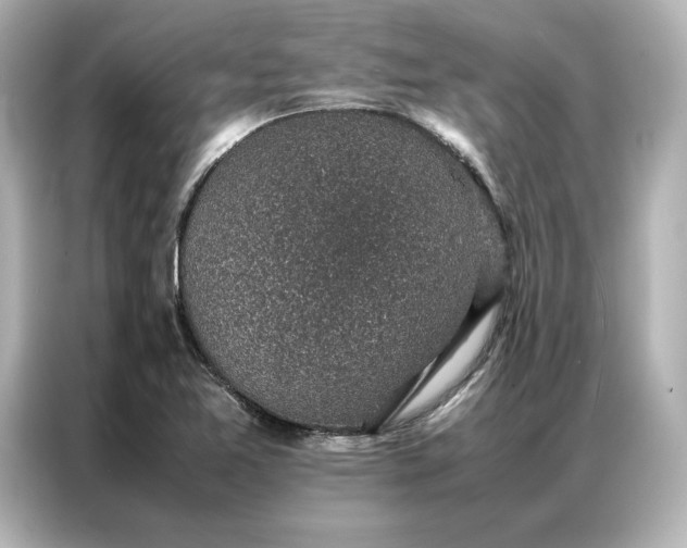 X0000086971365200704301249