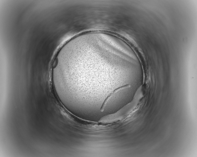 X0000086971366200704301249