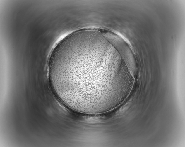 X0000086971367200704301249