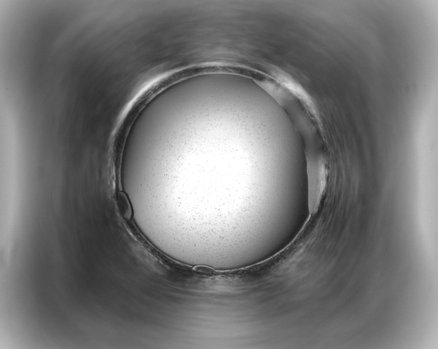 X0000086971368200704301249