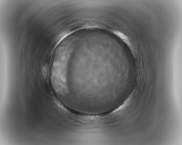 X0000086971369200704301249